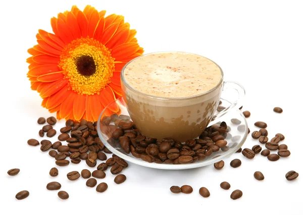 Kaffeetasse und Kaffeekörner — Stockfoto