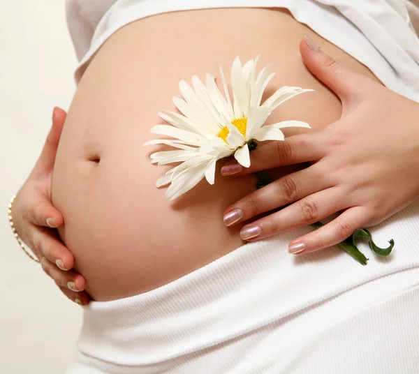 La donna incinta — Foto Stock