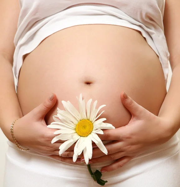 The pregnant woman — Stock Photo, Image