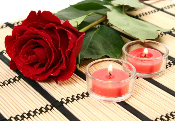 Τριαντάφυλλο και κεριά — Φωτογραφία Αρχείου