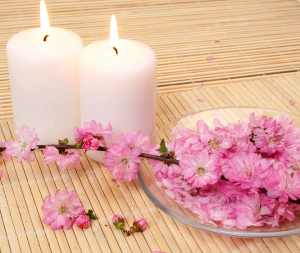 Flowers and candles — Stock Photo, Image