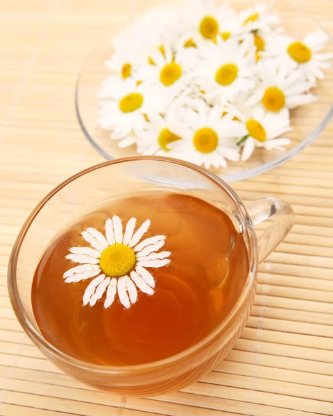 Chá e camomila — Fotografia de Stock