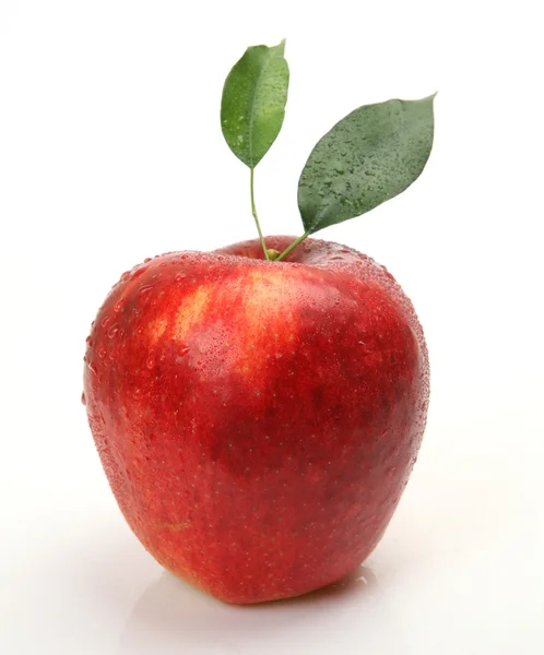 Reifer Apfel — Stockfoto