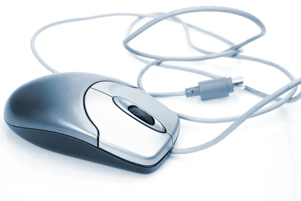 The computer mouse — Stock Photo, Image