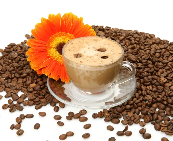 Coffe — Stock Photo, Image