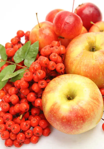 Apples and berries — Stock Photo, Image