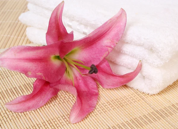 Flower and towel — Stock Photo, Image