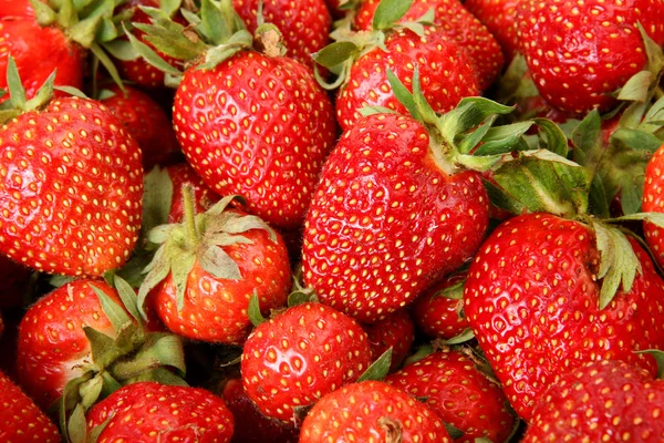 Ripe berries Stock Picture