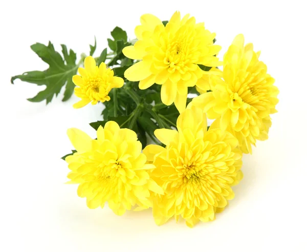 Yellow flowers — Stock Photo, Image