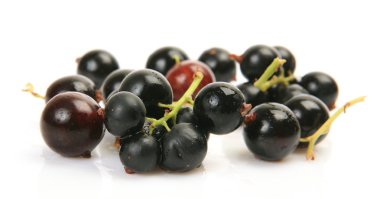 Siyah frenk üzümü