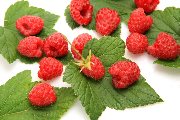 Ripe raspberries — Stock Photo, Image