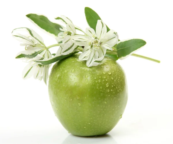 Reifer Apfel — Stockfoto