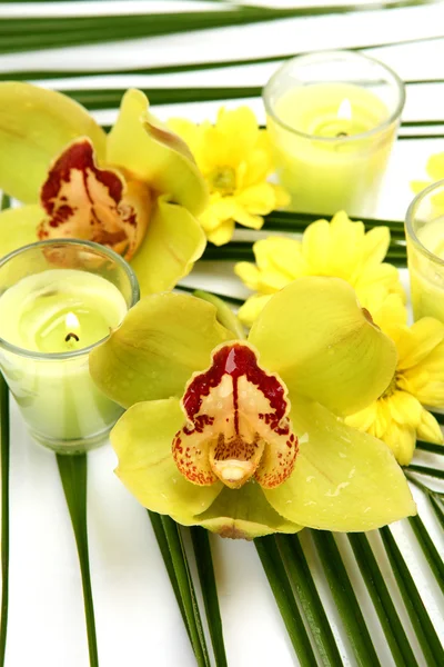 Yellow orchids and candles — Stock Photo, Image