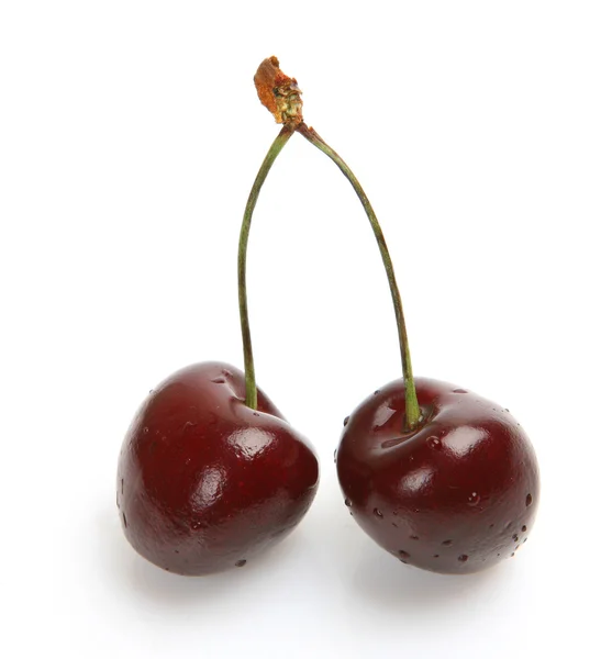 Owoce wiśni — Zdjęcie stockowe