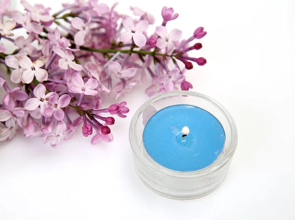 Blooming Branch Lilac Burning Candle White Background — Stock Photo, Image