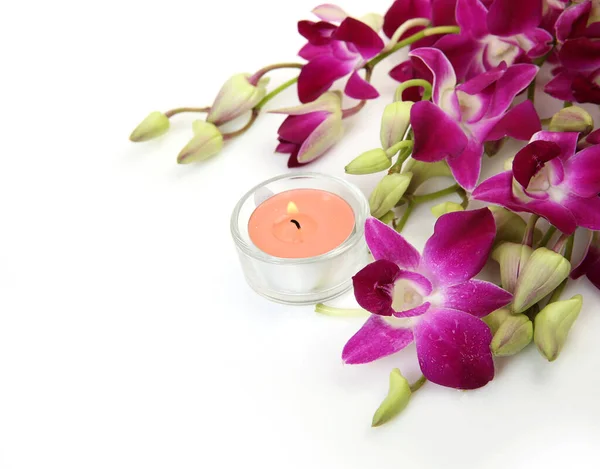 Orquídea Rosa Vela Encendida — Foto de Stock