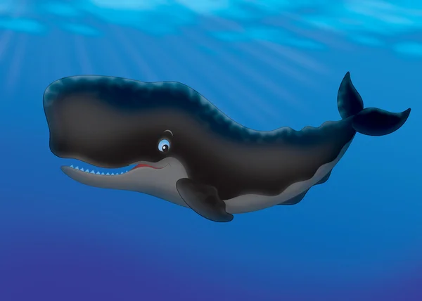 抹香鲸 — 图库照片