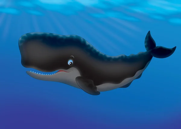 マッコウクジラ写真素材 ロイヤリティフリーマッコウクジラ画像 Depositphotos