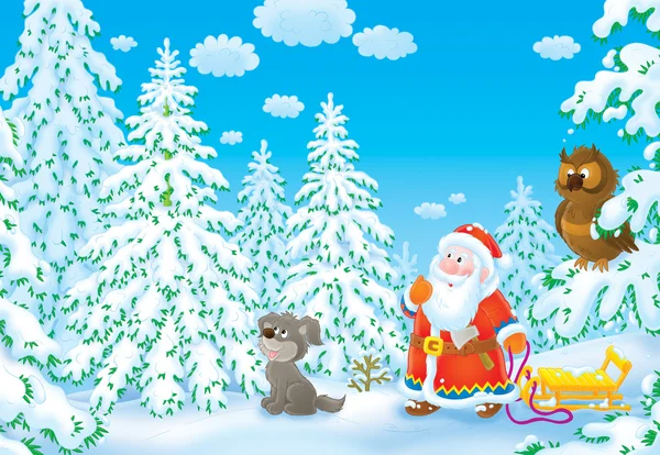 bir Noel ağacı Noel Baba arıyor