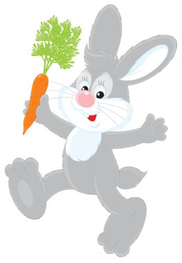Bunny havuç ile
