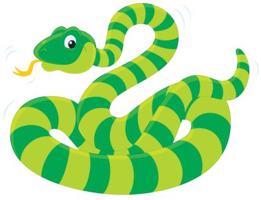 Green Snake clipart