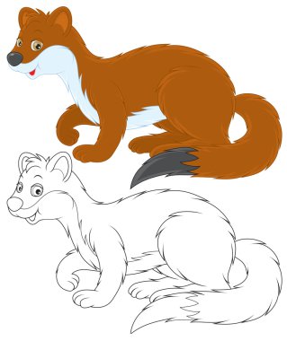 Brown Stoat clipart