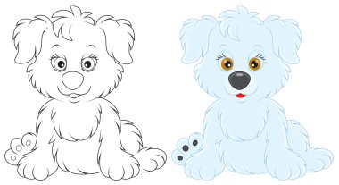 beyaz köpek