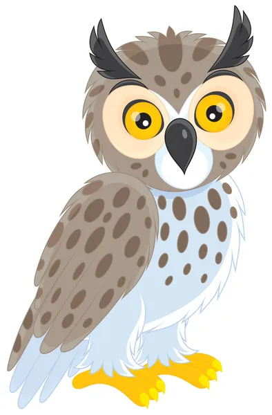 Long-eared owl — Stock Vector