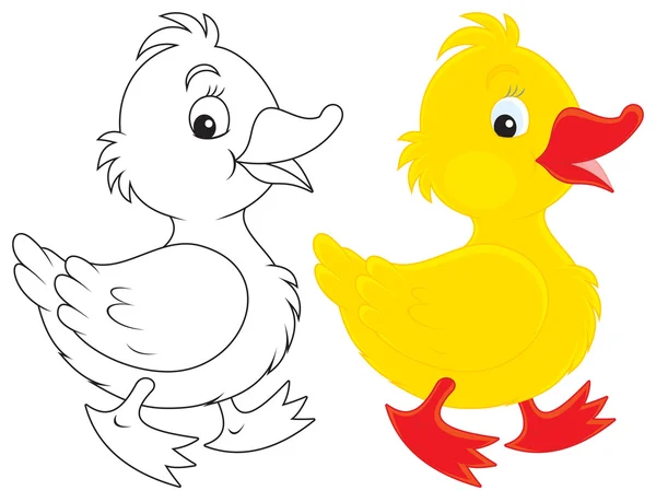 Duckling — Stock Vector