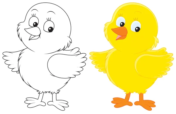 Small Chick — Stock Vector