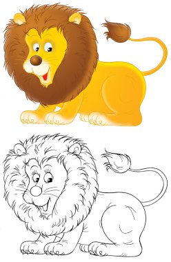 Beyaz arkaplanda aslan