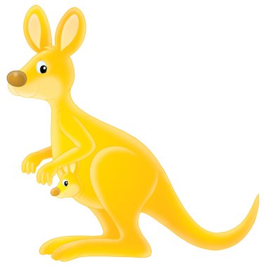 kanguru