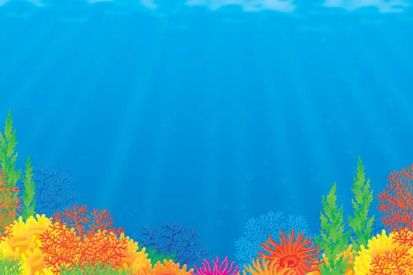 Coral reef — Stock Photo, Image