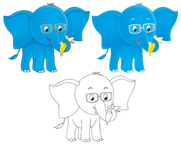 Blauer Elefant mit Brille — Stockfoto