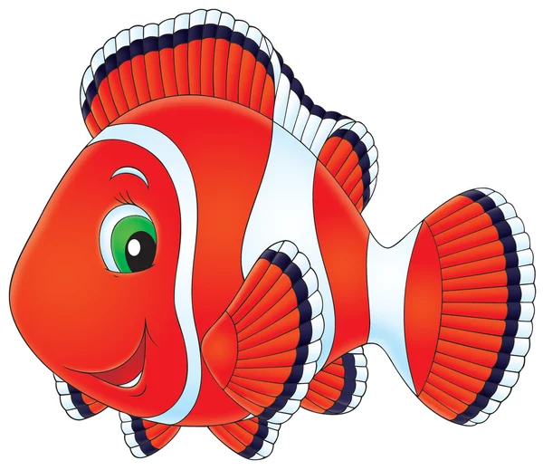 Anemonefish — Stock Photo, Image