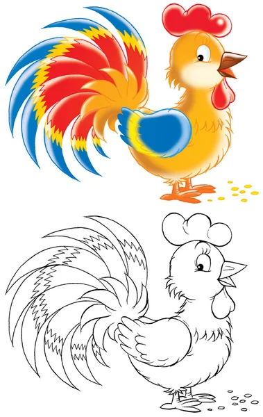 Rooster — Stock Photo, Image