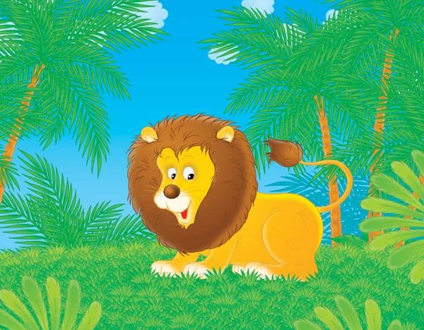 Lion in de jungle — Stockfoto