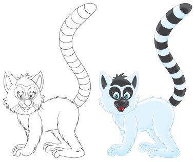 Ring-Tailed Maki