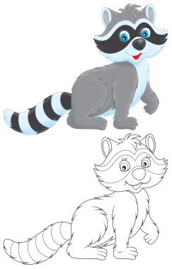 Rakun.