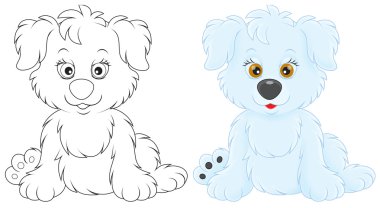 Şirin köpek.