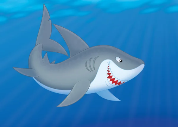 Büyük beyaz köpekbalığı tropikal bir denizde yüzmek — Stok fotoğraf