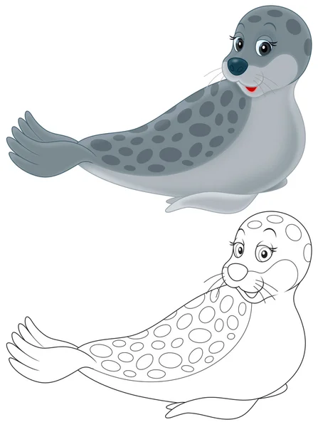 Seal on white background — Stock Photo, Image