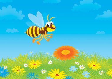 çiçekler üzerinde yaban arısı