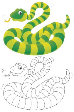 Striped snake clipart