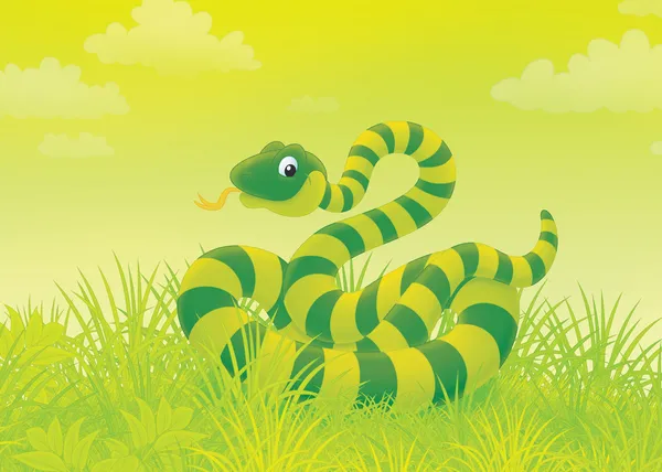 Snake in gras — Stockfoto