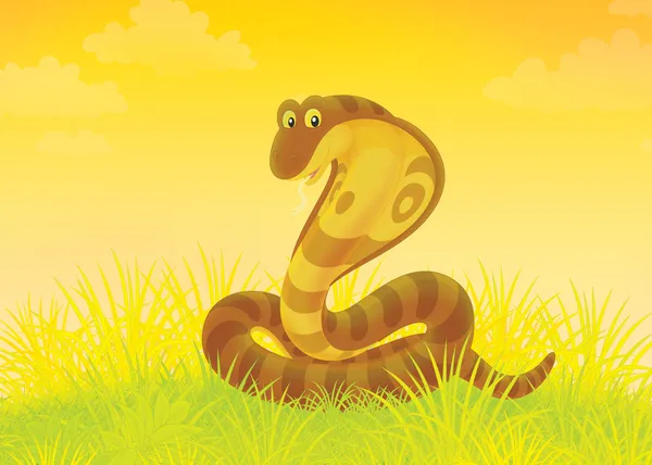 Brown cobra — Stock Photo, Image