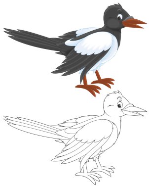 saksağan