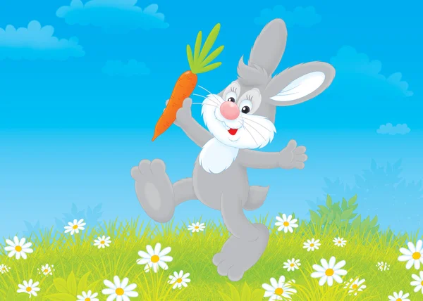 小兔子的胡萝卜 — 图库照片