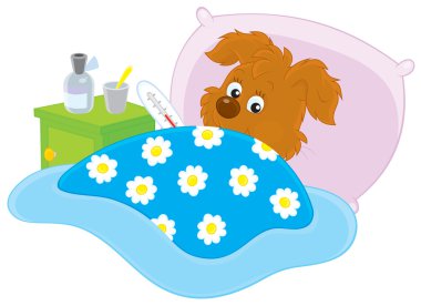 hasta köpek yatakta termometre ile vektör.