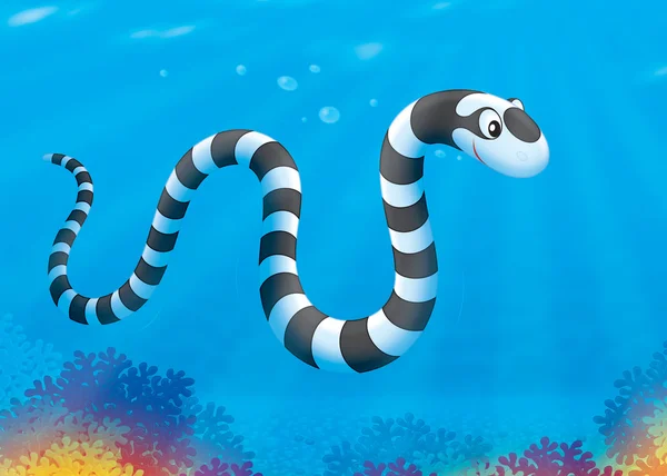 Sea snake — Stock Photo, Image